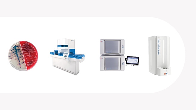 <p>Microbiology solutions to isolate and identify pathogens for treatment</p>
<ul>
<li>BD BBL™ CHROMagar™ Orientation</li>
<li>BD Kiestra™ Lab Automation System</li>
<li>BD Phoenix™ M50 Automated Microbiology System</li>
<li>BD™ Bruker MALDI Biotyper<sup>®</sup> Sirius CA System</li>
</ul>
